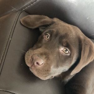 Meet your Posher, Julia